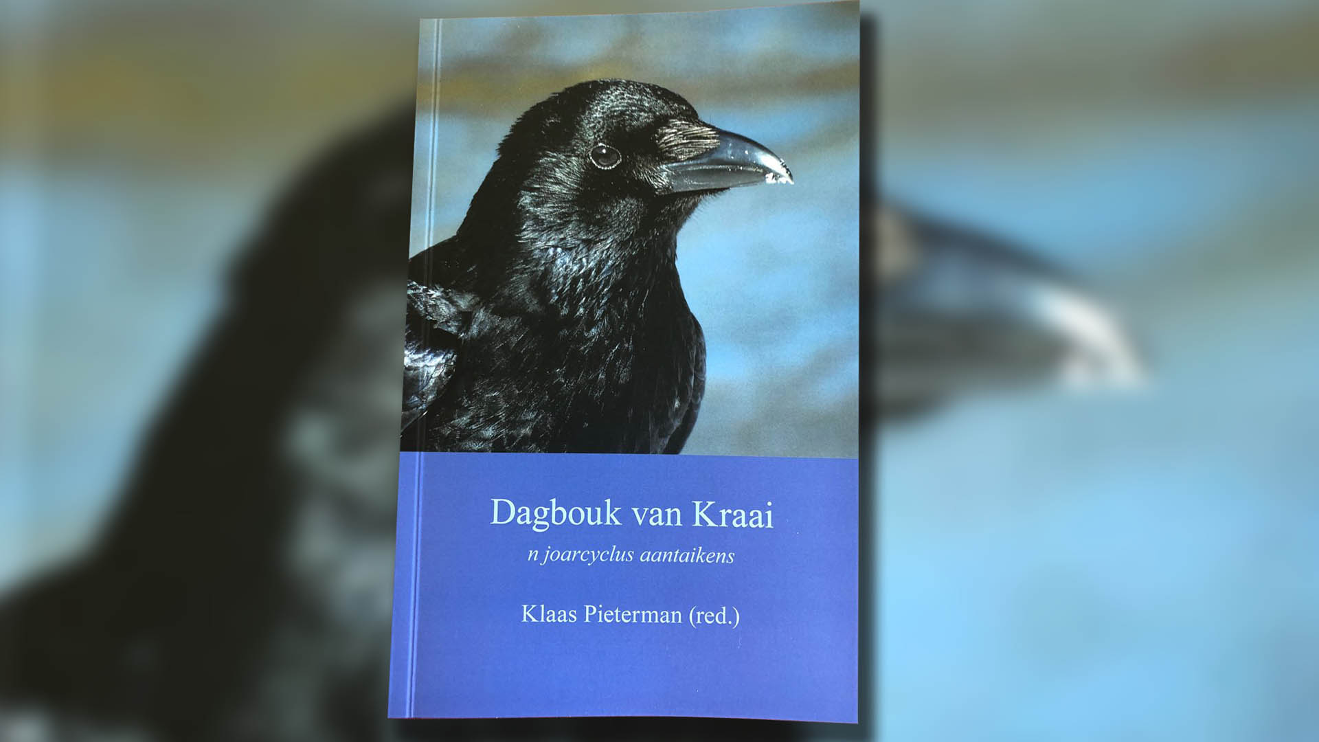 Dominee Pieterman kruipt in de huid van een kraai - RTV Noord