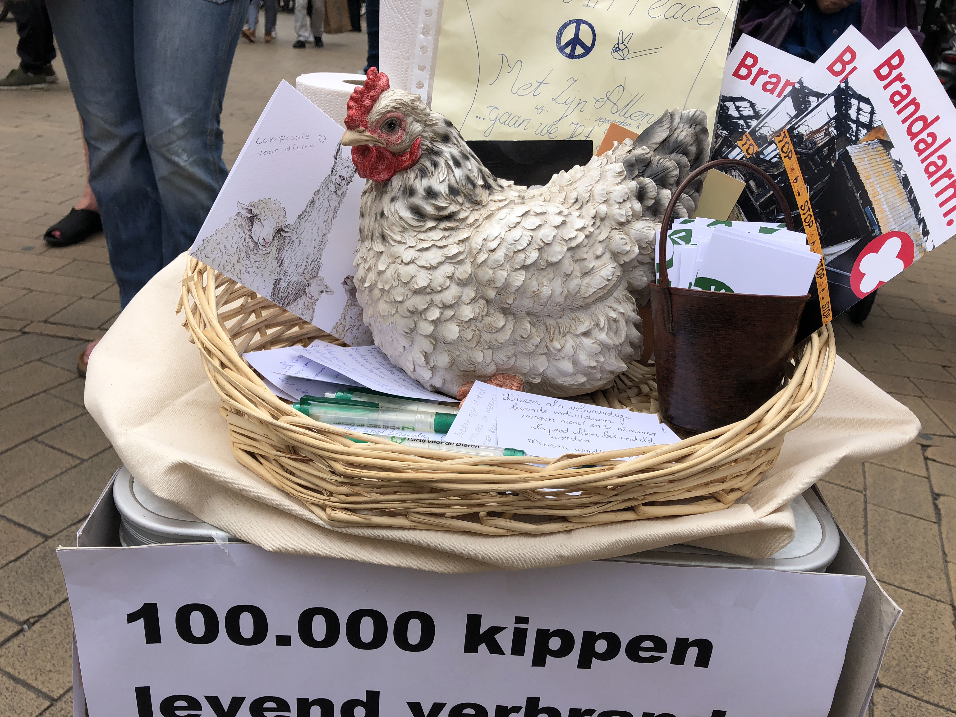 Afbeelding