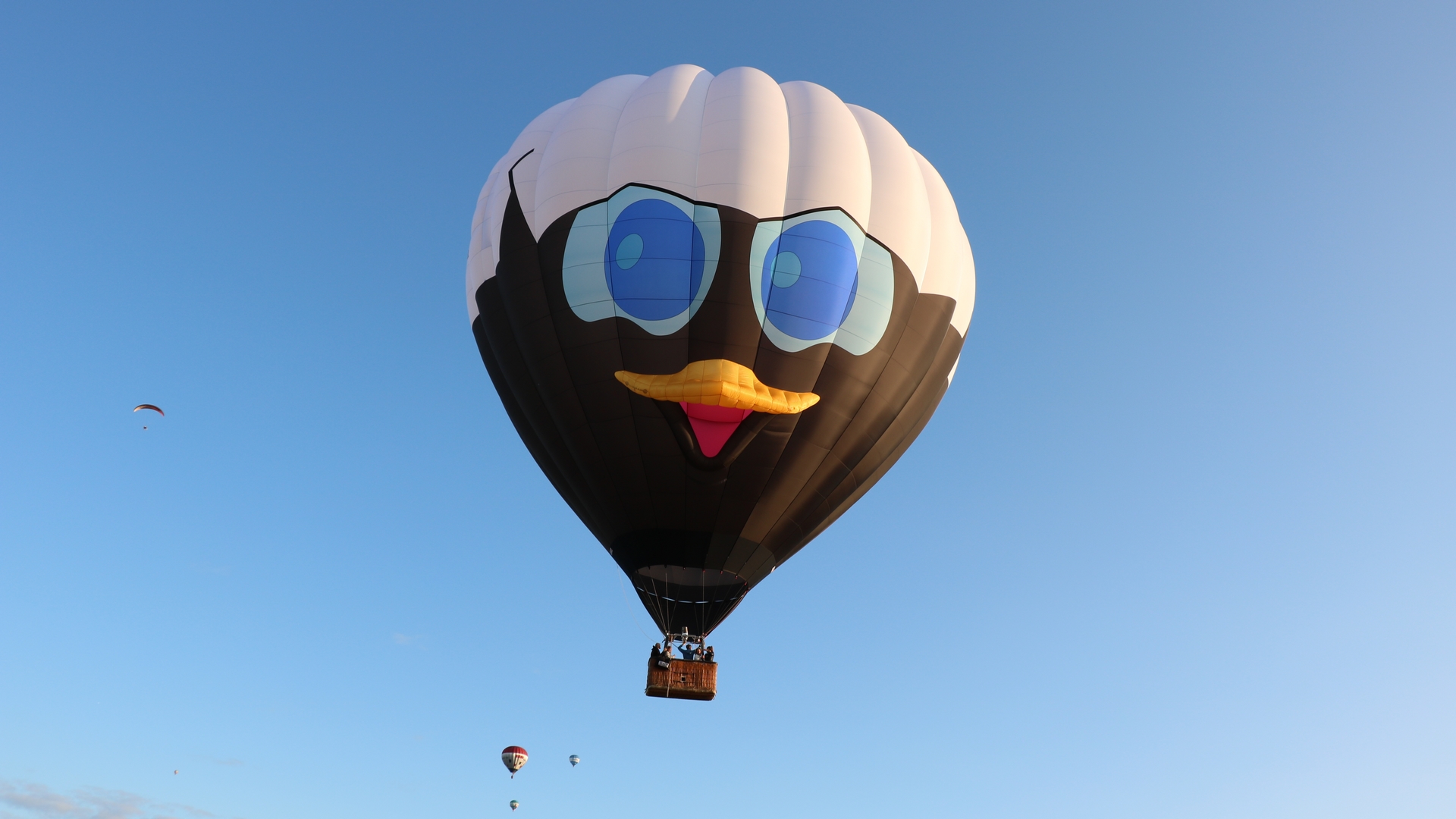 Grootste luchtballon ter wereld vaart boven Groningen - RTV Noord