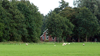 De woning in Westerlee. Foto: © Ina Boer